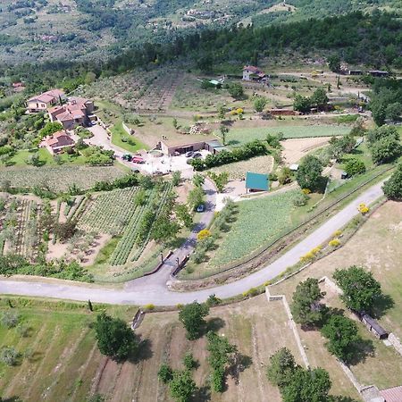 Agriturismo Villa Iris Castelfranco di Sopra Zewnętrze zdjęcie